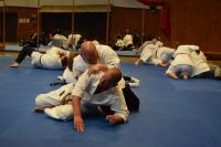 Bild (69)